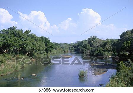 River flowing through a forest, Sabie River, Krueger National Park, South Africa View Large Photo Image Stock Photograph - River flowing through a forest, Sabie River, Krueger National Park, South Africa . Fotosearch
