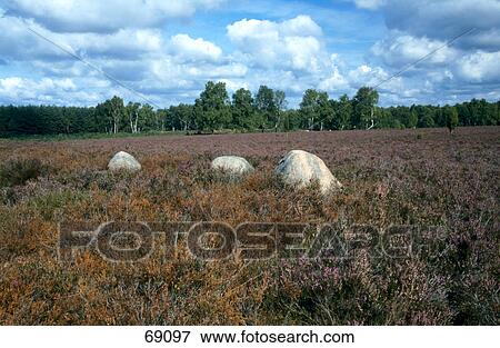 Rocks in the field under cloudy sky, Lower Saxony, Germany View Large Photo Image Stock Photo - Rocks in the field under cloudy sky, Lower Saxony, Germany . Fotosearch