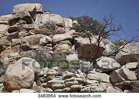 Picture - Rocks in the Joshua Tree National Park, California, USA, low angle view . Fotosearch