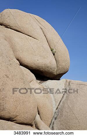Rocks in the Joshua Tree National Park, California, USA, low angle view View Large Photo Image Stock Image - Rocks in the Joshua Tree National Park, California, USA, low angle view . Fotosearch