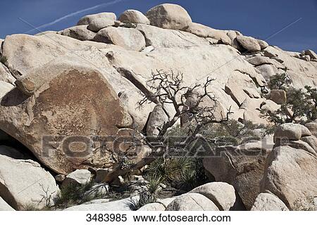 Stock Photography - Rocks in the Joshua Tree National Park, California, USA, low angle view . Fotosearch