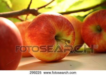 Stock Photography - row of red apples, close-up . Fotosearch