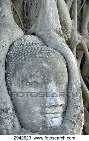 Sandstone head in a pipal tree, close-up View Large Photo Image Stock Image - Sandstone head in a pipal tree, close-up . Fotosearch