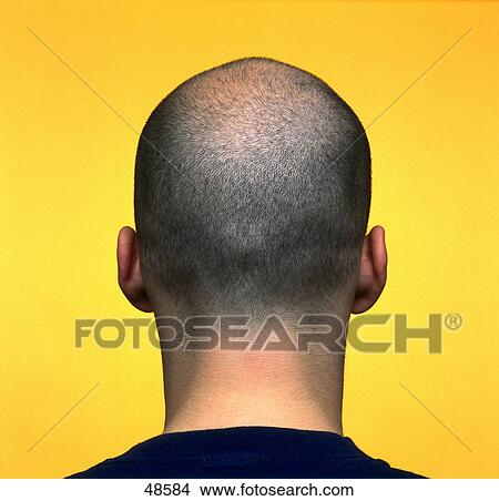 Short-haired man, rear view View Large Photo Image Picture - Short-haired man, rear view . Fotosearch