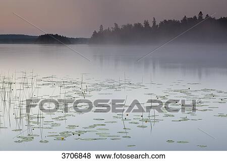 Stock Photo - Skerry coast in Sotenaes, Sweden . Fotosearch