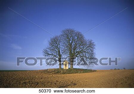 Stock Image - Small church between bare trees in field . Fotosearch
