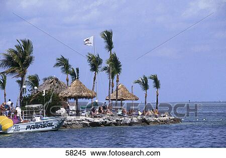 Stock Photography - Tourists at a resort on a seaside, Key Largo, Florida Keys, Florida, USA . Fotosearch