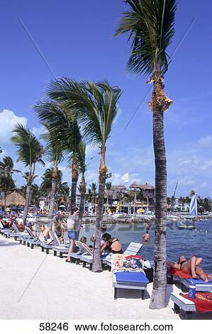 Stock Photograph - Tourists relaxing on beach, Key Largo, Florida Keys, Florida, USA . Fotosearch