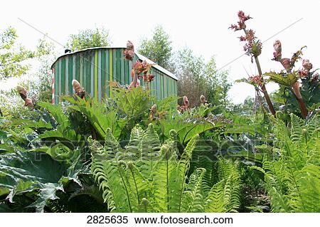 Stock Photography - Trailer in flower field . Fotosearch