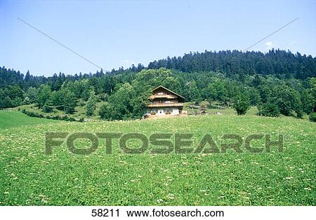 Trees around farmhouse, Garmisch-Partenkirchen, Bavaria, Germany View Large Photo Image Stock Image - Trees around farmhouse, Garmisch-Partenkirchen, Bavaria, Germany . Fotosearch