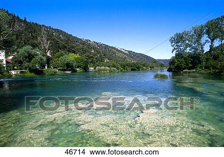Picture - Trees at riverbank, Skradinski Buk River, Krka National Park, Dalmatia, Croatia . Fotosearch