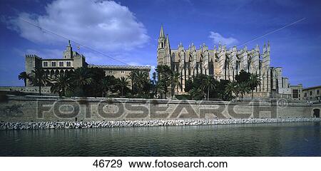 Stock Photo - Trees in front of cathedral, Le Seu Cathedral, Palma de Majorca, Majorca, Balearic Islands, Spain . Fotosearch