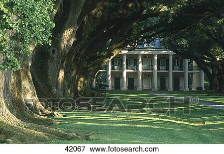 Stock Photo - Trees in front of house, Oak Alley Plantation, Louisiana, Utah, USA . Fotosearch