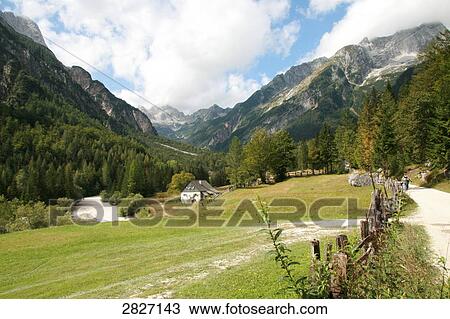 Trees in front of mountains View Large Photo Image Stock Image - Trees in front of mountains . Fotosearch