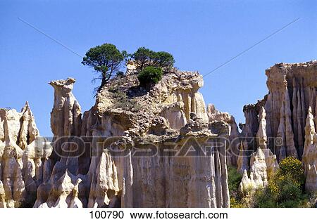Stock Image - Trees on rock formation, Pyrenees, Ille Sur Tet, France . Fotosearch