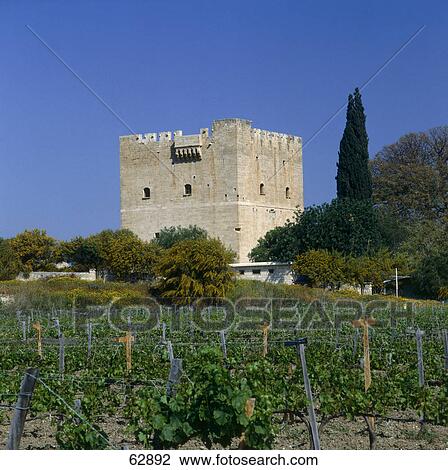 Vineyard along castle, Kolossi Castle, Cyprus Europe View Large Photo Image Stock Image - Vineyard along castle, Kolossi Castle, Cyprus Europe . Fotosearch