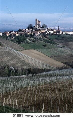 Stock Image - Vineyard on hill with village in background, Serralunga d'Alba, Province Cuneo, Piedmont, Italy . Fotosearch
