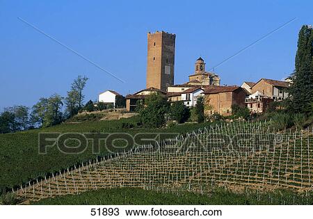 Stock Image - Vineyard on hill with village in background, Barbaresco, Province Cuneo, Piedmont, Italy . Fotosearch