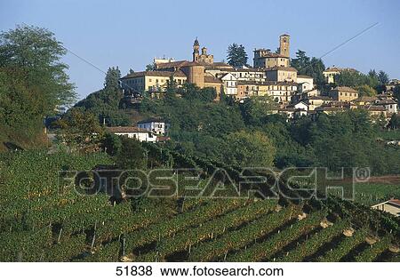 Vineyard on hill with village in background, Neive, Provinz Cuneo, Piedmont, Italy View Large Photo Image Stock Photo - Vineyard on hill with village in background, Neive, Provinz Cuneo, Piedmont, Italy . Fotosearch