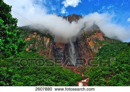 Stock Image - Waterfall in forest, Angel Falls, Gran Sabana, Canaima National Park, Venezuela . Fotosearch