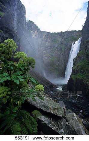 Stock Image - Waterfall in forest, Lofoten, Norway . Fotosearch