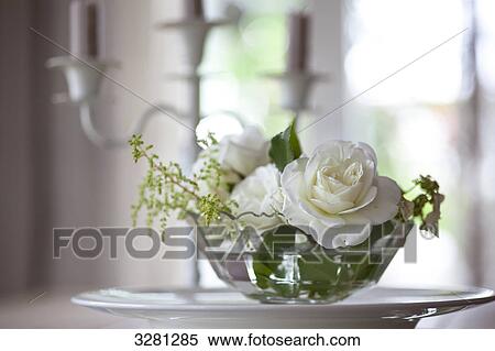 White rose flowers in a bowl, Ramesn, Switzerland View Large Photo Image Stock Photography - White rose flowers in a bowl, Ramesn, Switzerland . Fotosearch