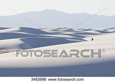 White Sands National Monument, New Mexico, USA View Large Photo Image Stock Photo - White Sands National Monument, New Mexico, USA . Fotosearch