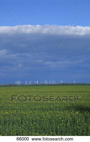Stock Image - Wind turbines on landscape . Fotosearch