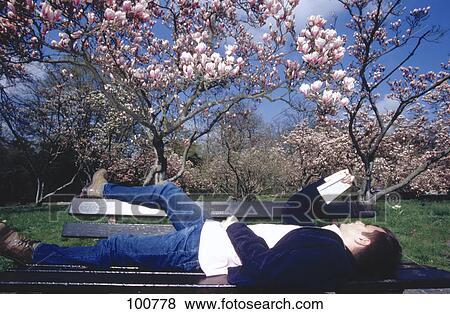 Young man reading book on bench in park View Large Photo Image Stock Photo - Young man reading book on bench in park . Fotosearch