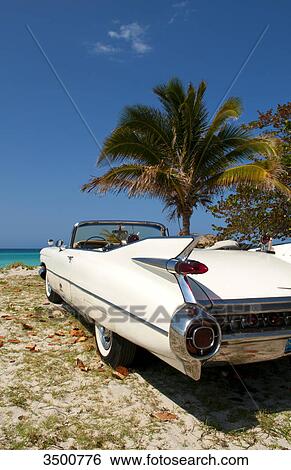1959 White Cadillac on beach, Varadero, Cuba View Large Photo Image Stock Photograph - 1959 White Cadillac on beach, Varadero, Cuba . Fotosearch