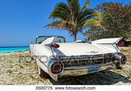 1959 White Cadillac on beach, Varadero, Cuba View Large Photo Image Stock Photography - 1959 White Cadillac on beach, Varadero, Cuba . Fotosearch