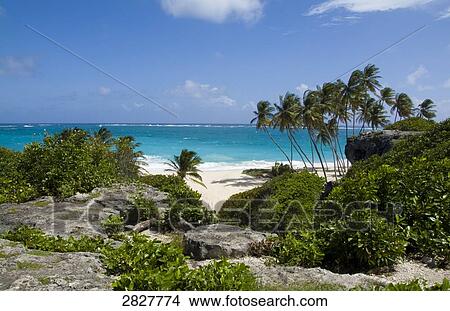 Bottom Bay, Barbados View Large Photo Image Picture - Bottom Bay, Barbados . Fotosearch