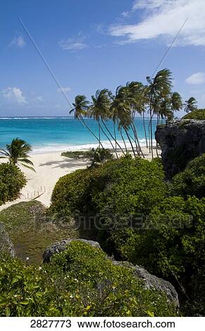 Stock Image - Bottom Bay, Barbados . Fotosearch