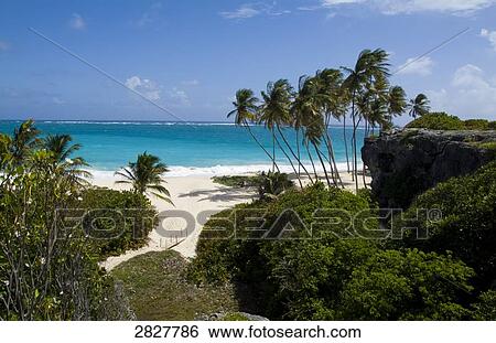 Bottom Bay, Barbados View Large Photo Image Stock Photograph - Bottom Bay, Barbados . Fotosearch