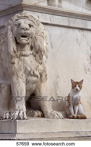 Cat sitting next to marble sculpture lion View Large Photo Image Stock Photo - Cat sitting next to marble sculpture lion . Fotosearch