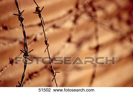 Close-up of barbed wire View Large Photo Image Stock Image - Close-up of barbed wire . Fotosearch