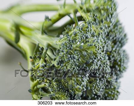 Stock Image - Close-up of broccoli . Fotosearch