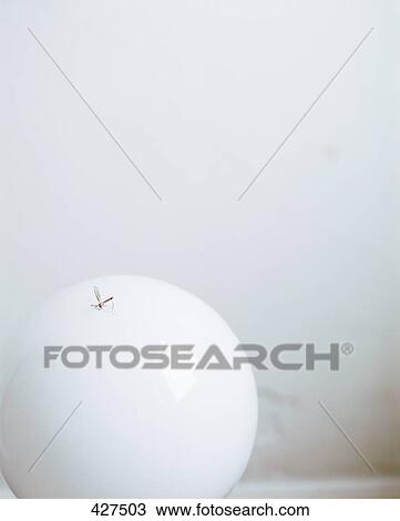 Close-up of crane fly on light bulb View Large Photo Image Stock Image - Close-up of crane fly on light bulb . Fotosearch