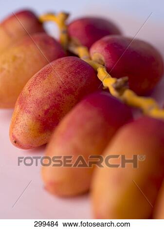 Close-up of fresh dates View Large Photo Image Picture - Close-up of fresh dates . Fotosearch
