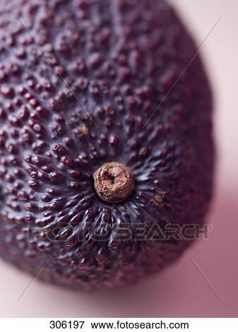 Close-up of gourd View Large Photo Image Stock Photo - Close-up of gourd . Fotosearch