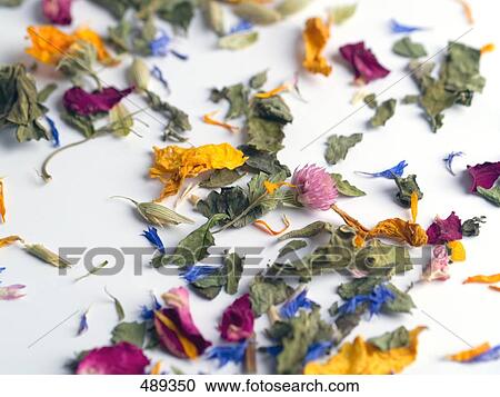 Close-up of herbs and flowers View Large Photo Image Stock Image - Close-up of herbs and flowers . Fotosearch