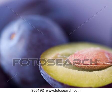 Close-up of plum View Large Photo Image Stock Image - Close-up of plum . Fotosearch