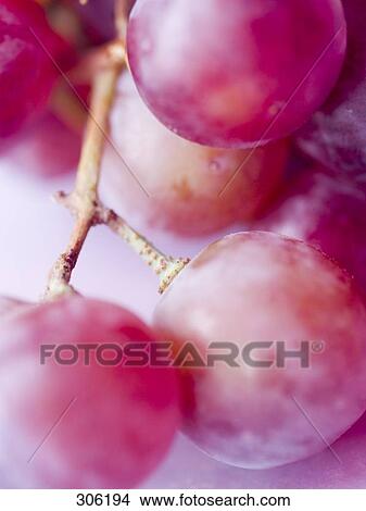 Picture - Close-up of red grapes . Fotosearch