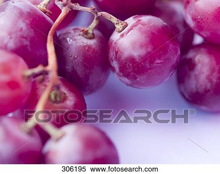 Stock Photography - Close-up of red grapes . Fotosearch