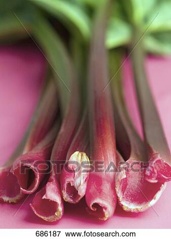 Close-up of ruby red chards View Large Photo Image Stock Photo - Close-up of ruby red chards . Fotosearch