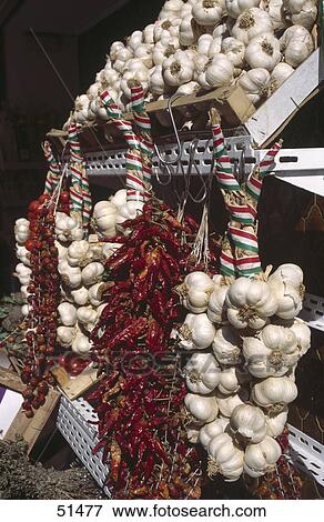 Close-up of strings of garlic and chillis, Naples, Italy, Europe View Large Photo Image Stock Photo - Close-up of strings of garlic and chillis, Naples, Italy, Europe . Fotosearch