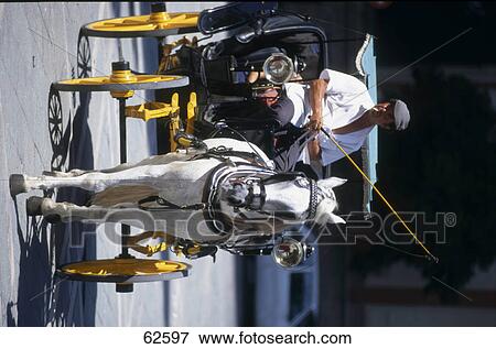 Stock Photo - Coachman riding horse drawn carriage on road, Sevilla, Andalusia, Spain . Fotosearch