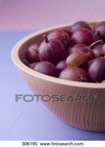 cup with gooseberries, close-up View Large Photo Image Stock Image - cup with gooseberries, close-up . Fotosearch