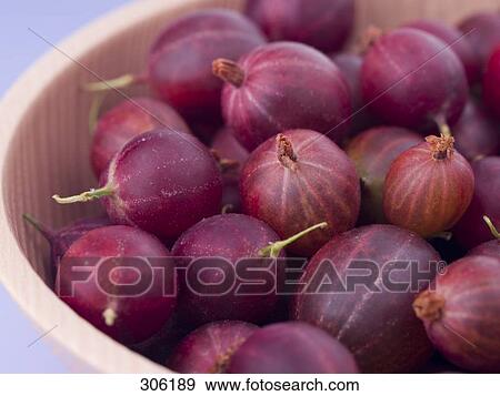Stock Photo - cup with gooseberries, close-up . Fotosearch