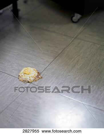 egg sunny side up on the floor View Large Photo Image Stock Photography - egg sunny side up on the floor . Fotosearch